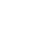 Vector